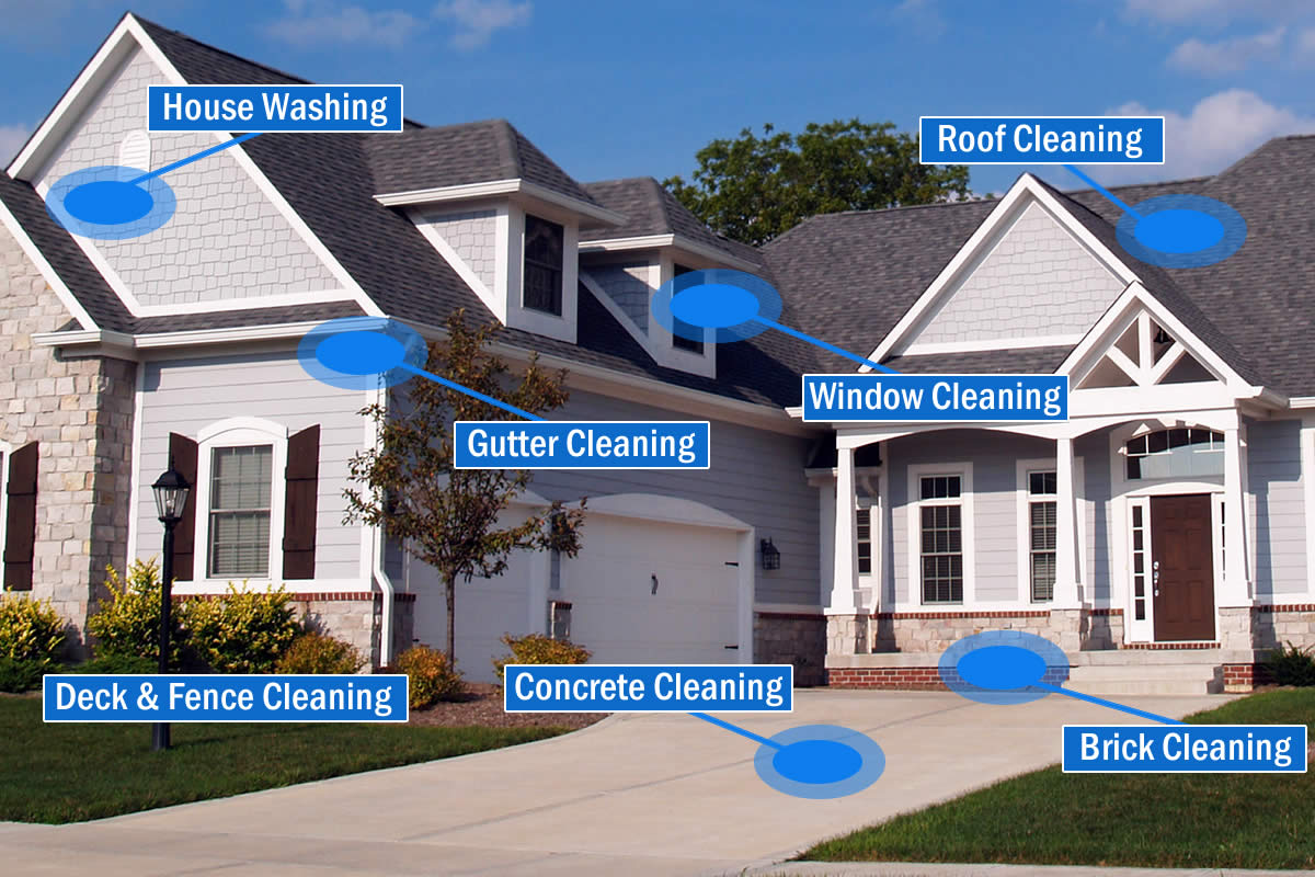 Professional Home Soft Washing Services